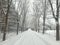 Scenic pathway winds its way through a pristine winter-time forest