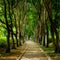 Scenic pathways meander through Thailands serene public parks