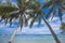 Scenic photo framed by coconut trees tilted towards the beach. Multiple outrigger boats docked near the shore. At Dumaluan Beach