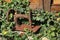 Scenic the photo of the rusty hull of an old manual sewing machine amid the greenery of the old garden and the old wooden walls