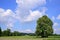 Scenic picture in Bavaria with meadows, trees and a blue sky