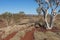 Scenic Pilbara landscape in Western Australia