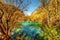 Scenic pond with emerald crystal water among colorful fall woods