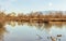 Scenic pond with turtles in Rio Grande Nature Center State Park