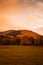 Scenic portrait of a field, trees, and a hill with an orange hue during sunset in Ireland