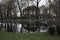 Scenic portrait of trees reflected in water