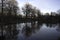 Scenic portrait of trees reflected in water