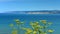 Scenic Povery Bay viewed from Titirangi Domain in Gisborne, New Zealand