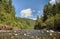 The scenic quinault river