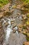 Scenic Rainforest Stream on Maui