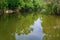 Scenic Reflections on the Roanoke River