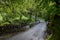 Scenic Remote Patterdale Bridge with Trees in the Spring