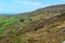 Scenic Remote Rural Farmland in Coastal Ireland