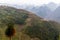 Scenic rice terraces landscape Vietnam