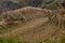 Scenic rice terraces landscape Vietnam