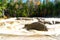 Scenic River along Kancamagus Highway in New Hampshire