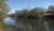 Scenic river nr. Crookham, Northumberland Uk