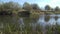 Scenic river nr. Crookham, Northumberland Uk