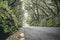 Scenic road in the Anaga UNESCO biosphere reserve, Tenerife, Spain