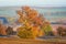 Scenic road through the autumn agricultural fields, colorful rural landscape