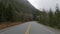 Scenic Road in Canadian Nature from Port Alberni to Tofino. Pacific Rim Hwy