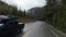Scenic Road in Canadian Nature from Port Alberni to Tofino. Pacific Rim Hwy