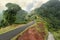 Scenic road in Dominica, Caribbean islands