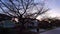 Scenic Road in Suburban Neighborhood. Homes, Trees. Winter Season, Sunset Sky. Trees. Burnaby