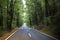 Scenic Road to Milford Sound