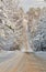 Scenic road,wonderful winter landscape