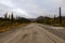 Scenic Road in Yukon, Canada
