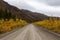 Scenic Road in Yukon, Canada