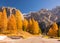 Scenic roadway in Dolomite Alps with beautiful yellow larch trees and mountains on background