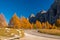 Scenic roadway in Dolomite Alps with beautiful yellow larch trees and mountains on background