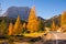 Scenic roadway in Dolomite Alps with beautiful yellow larch trees and Sassolungo mountain on background