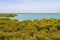Scenic Roebuck Bay , Broome, Western Australia.