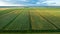 Scenic rows of agricultural fields