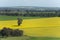 Scenic rural areas point view in regional Australia of Walla Walla is a town in the Riverina region of southern New South Wales.