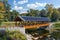 Scenic Rural Bridge with Solar Panel Covered Wooden Roof and River View, generative ai