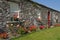 Scenic rural irish cottage with bicycle and roses