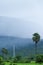 Scenic rural landscape of Kampot, South Cambodia. Itâ€™s raining over the mountain and paddy field, power line pylon in