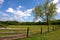 Scenic Rural Landscape with Meadow and Fence