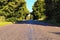 Scenic  rural landscape of old asphalt road with trees in summer sunny day. Scenic natural tunnel of green tree along the road.