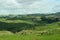 Scenic rural landscape of pastureland, rolling hills and trees on sunny day in Waitomo, New Zealand