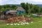 Scenic rustic summer landscape of peasant village. Quiet authentic life at Russian countryside