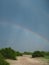 Scenic sand route through green savanna plain with soft beautiful double rainbow and bird on blue sky