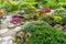 Scenic Seatac Garden