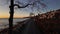 Scenic Seawall at Ambleside in West Vancouver. Sunset, Fall Season. Vancouver, British Columbia