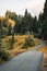 Scenic serene pathway in Olympic National Park at Hurricane Ridge in Washington