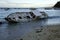 scenic ship wreck at the beach of el nido